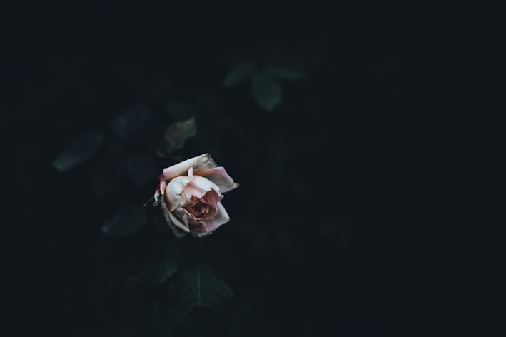 What happens if you die without a will in Utah?